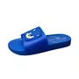 Chinelo Grendene Infantil Masculino Azul Sonic