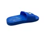 Chinelo Grendene Infantil Masculino Azul Sonic